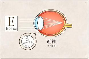 半岛电竞下载网址是什么软件截图2